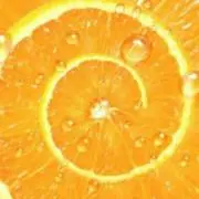 Gemini(購入前にプロフ必読)