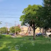 りんご