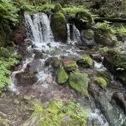 furufuruの画像