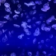 チャーチル