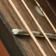 bunの画像