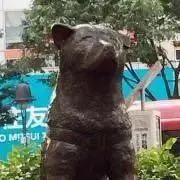 8 @ 本日休みの画像