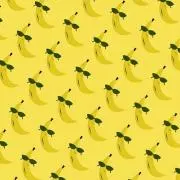野球小僧