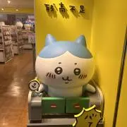 タキサムハチワレの画像