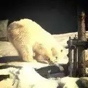 かりんちの画像