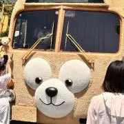 くうちゃんの画像