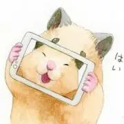 LL  SHOPの画像