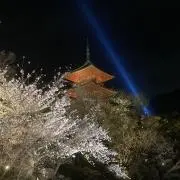 大泉頼朝の画像