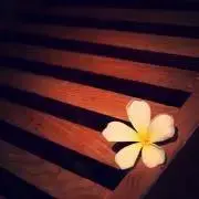 OKARIの画像