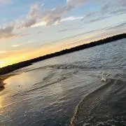 こーでぃーの画像