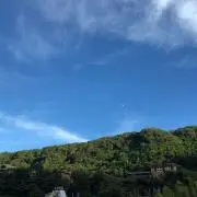 ririco（即購入可）の画像