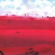 マリモの画像