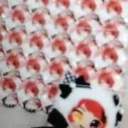 いぬの画像