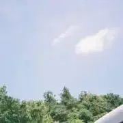 m.の画像