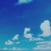 womanBearの画像