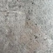 切り株＠即購入OK