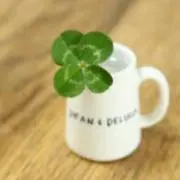 あこは