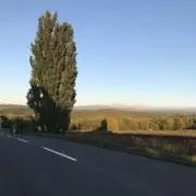 ssmmの画像