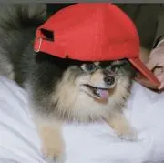 tsukimi プロフ要確認の画像