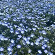 りの画像