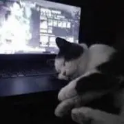 Rani1の画像
