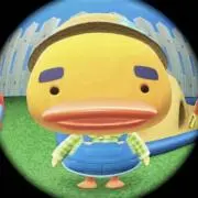 イチボの画像