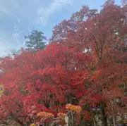 2児のままの画像