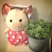 めー☆プ必読　おまとめ割あり！の画像