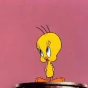 E(プロフィール必読)の画像