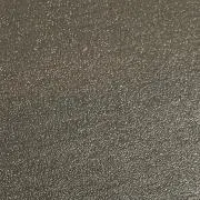 ピザの画像