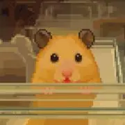 sssの画像
