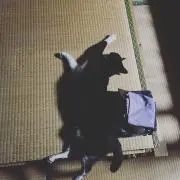 bamboo※プロフ確認願います