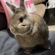 2点から50円引き停止中☆さっちの画像