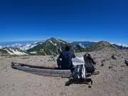 マムの画像