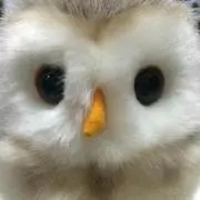 Mizuki