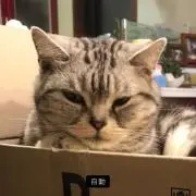 こたろー