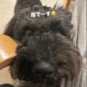 ブルーナの画像