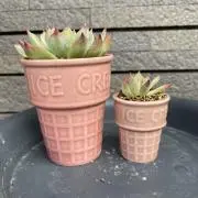 ゆんの画像