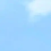 すもも