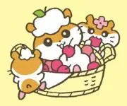 peaceの画像