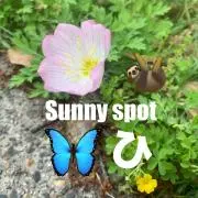 Sunny spot ひだまりの画像