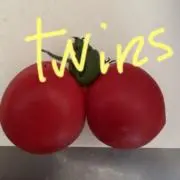 かのんの画像