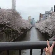 れいの画像