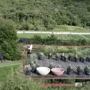 Keikoの画像