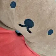 はなの画像