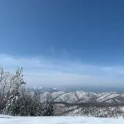 ちょんの画像