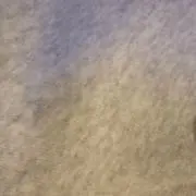 rの画像