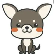 いぬの画像