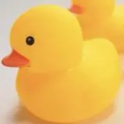 Duck @まとめ買い大歓迎♪の画像