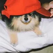 Takionの画像
